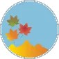 11月